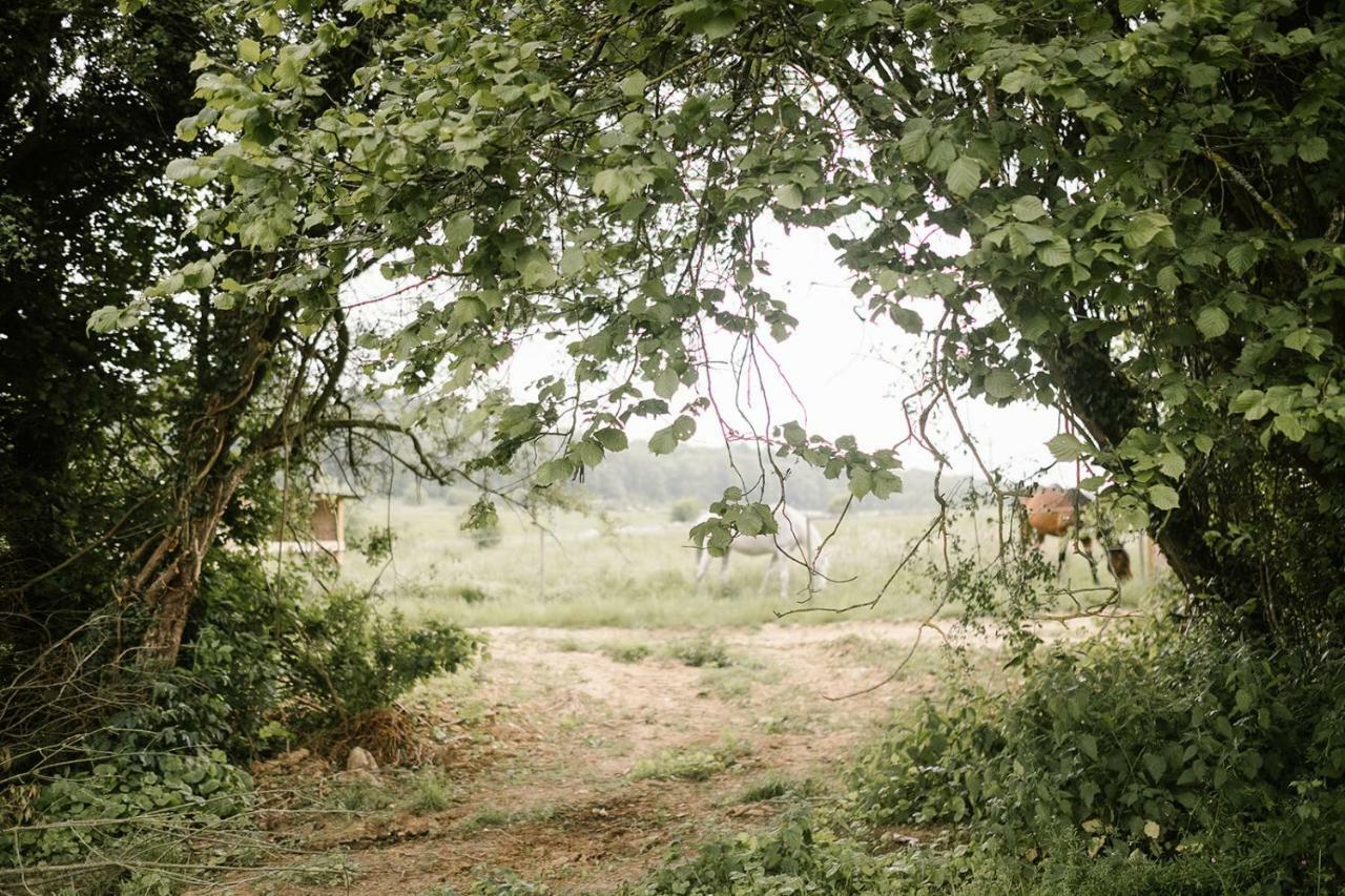 Отель La Bulle De La Ferme Du Ry Динан Экстерьер фото